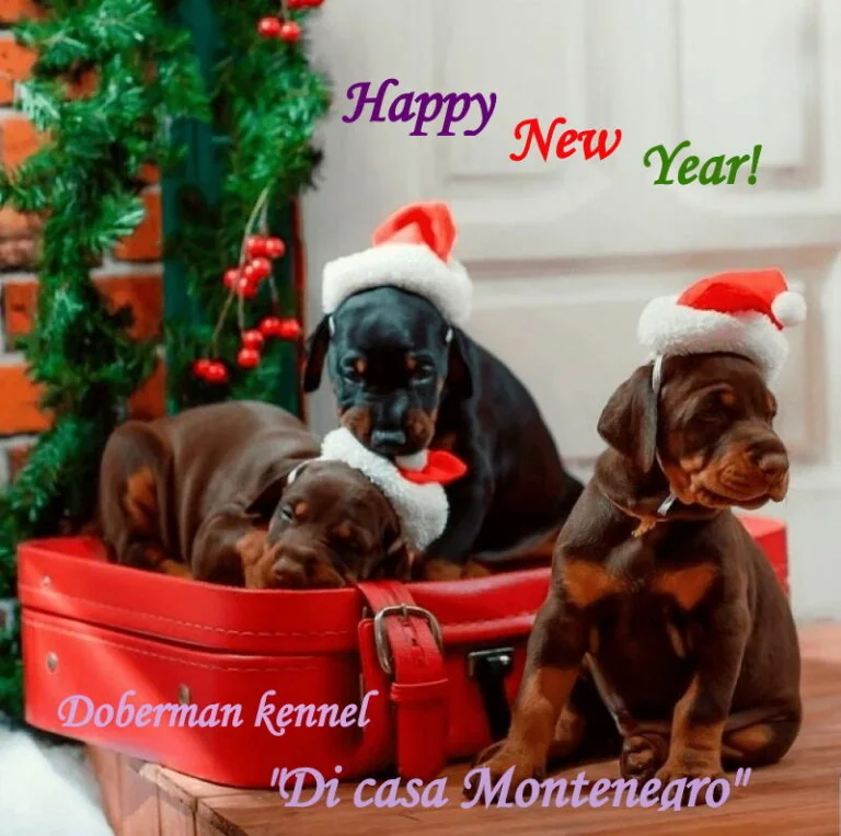 New Year wishes