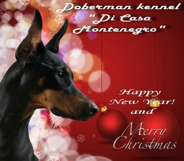 Merry Christmas and Happy New Year